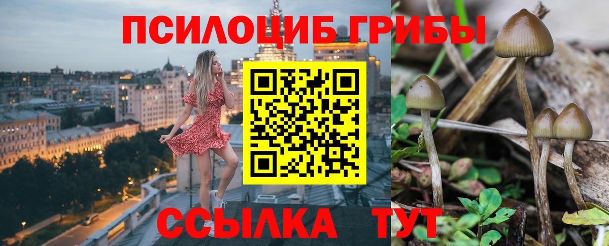 хочу наркоту  Псилоцибиновые грибы мицелий  Вход с VPN  Вятские Поляны 