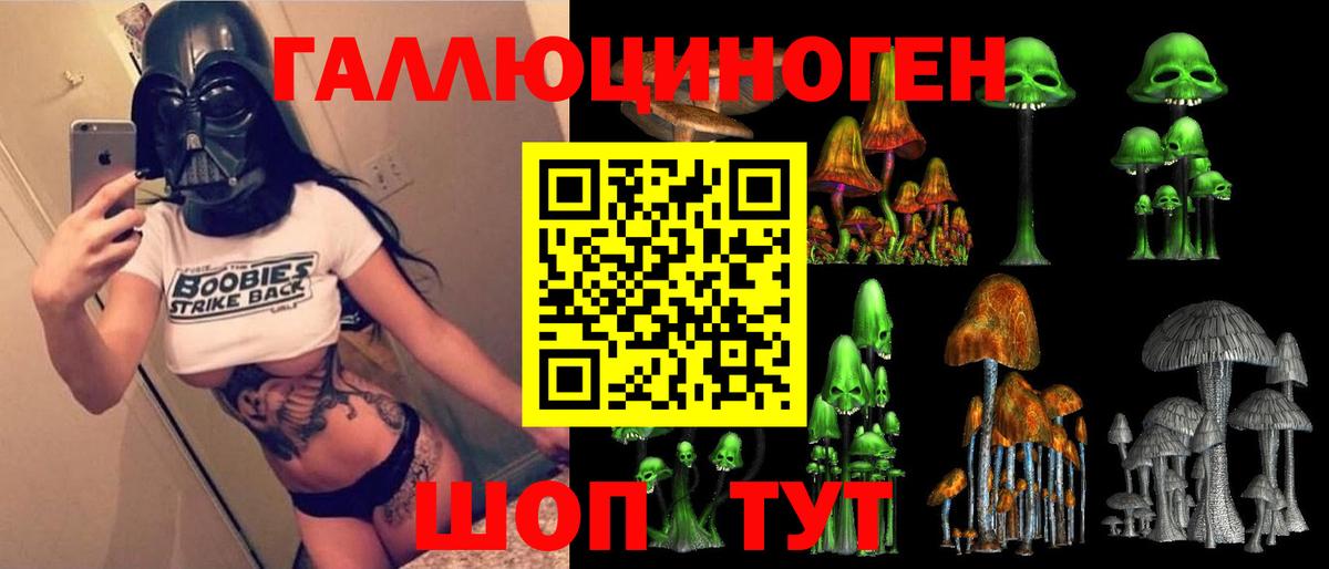 Псилоцибиновые грибы Psilocybe Вятские Поляны